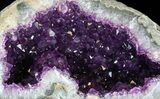 Dark Amethyst Geode From Uruguay- lbs #41898-1